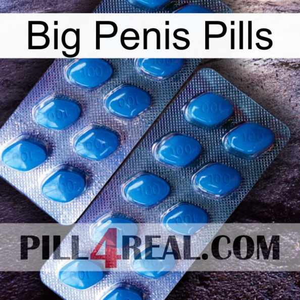 Big Penis Pills viagra2.jpg